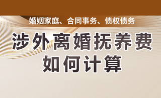海外婚姻散场，经济纽带如何维系？涉外离婚抚养费执行指南