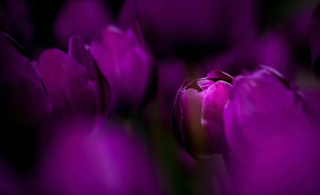 人在国外回不来，这婚怎么离？这份跨国离婚管辖指南请收好